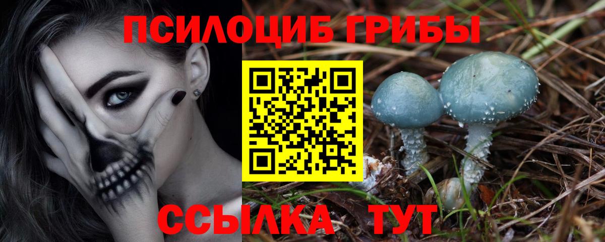 Псилоцибиновые грибы ЛСД  Вход с VPN  Галлюциногенные грибы прущие грибы  сколько стоит  Соль-Илецк 
